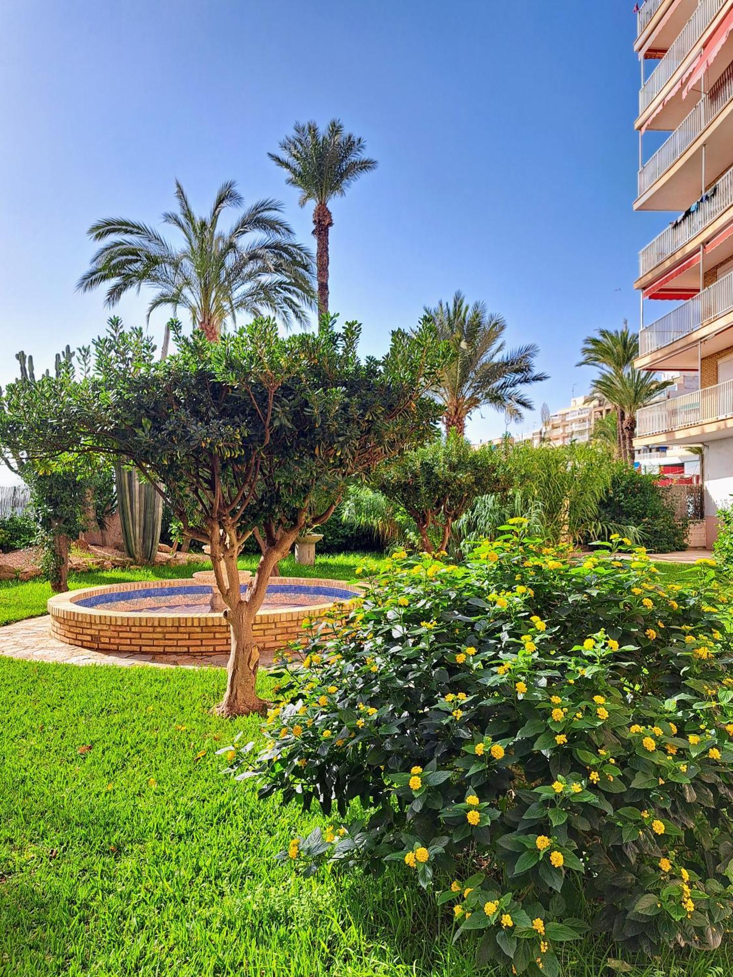 Garden Beach Apartment Торевьиа Экстерьер фото